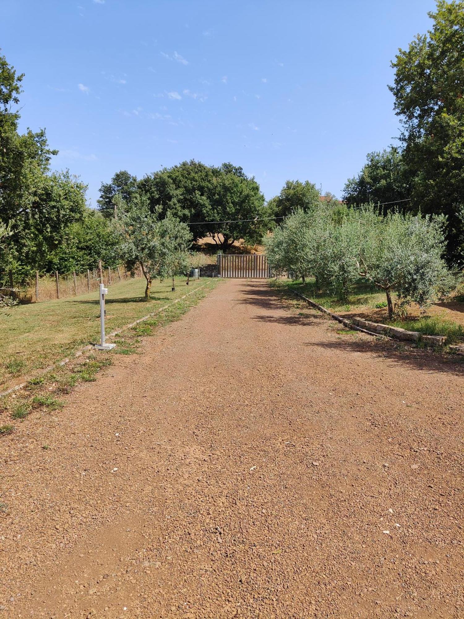 Il Melarancio B&B Monterosi Dış mekan fotoğraf